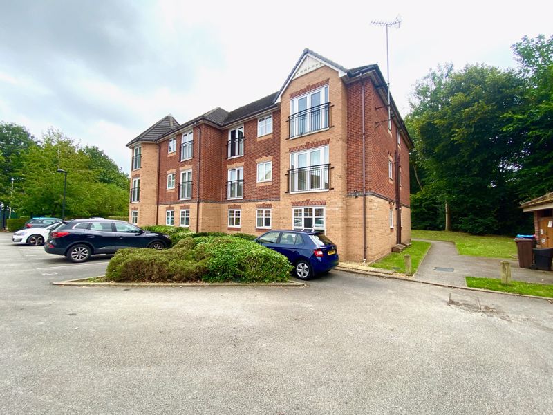 Main Image